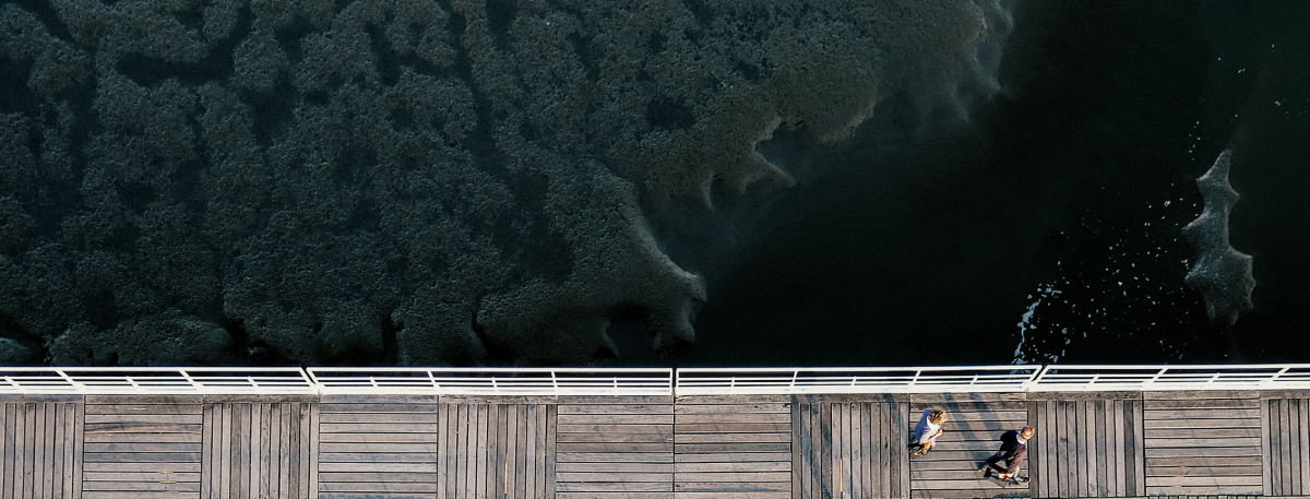 Ihmiset ylittämässä katua Helsingissä.